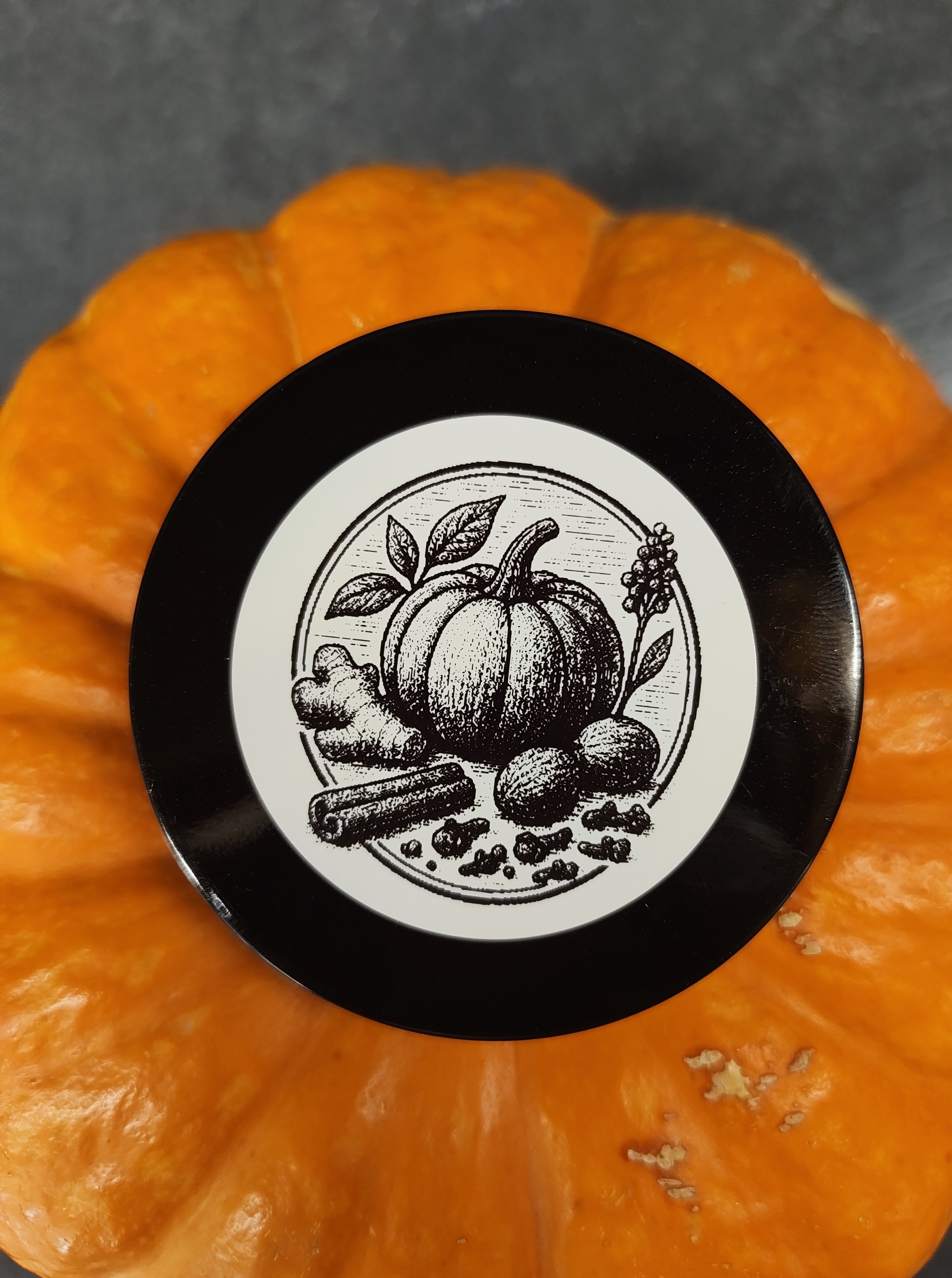 IMG_20251013_123759941 (1)